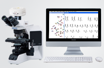 染色體核型分析系統(tǒng)